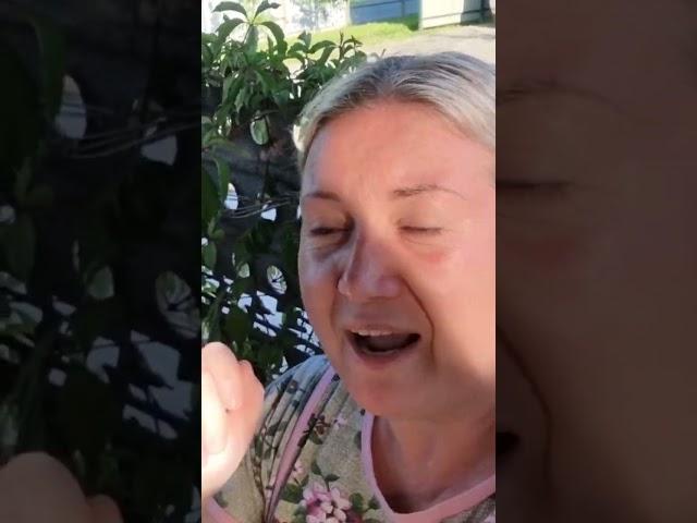 Отдых по деревенски Песни на кассете