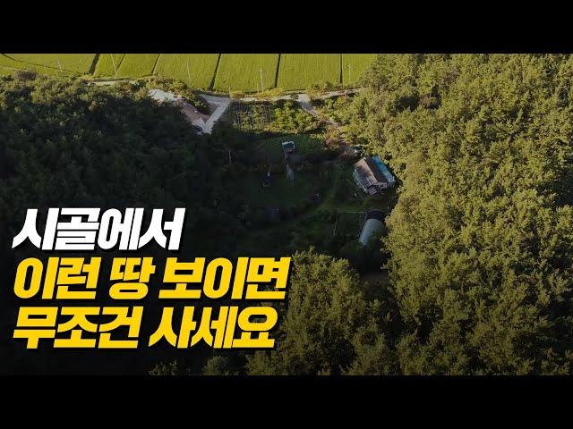 '딱 2가지만 기억하세요' 지방에 있는 땅 으로도 큰 돈 벌 수 있습니다. 시골 토지 투자로 노후 설계하는 방법.