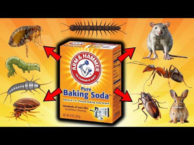 BAKING SODA: Ultimate Pest Control For FLEAS, MICE, RATS, COCKROACHES, ANTS, BEDBUGS, CENTIPEDES...