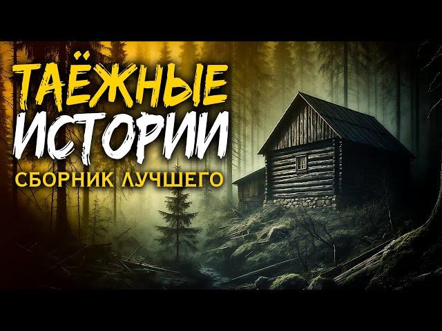 ТАЁЖНЫЕ ИСТОРИИ | СБОРНИК ЛУЧШЕГО | МИСТИКА