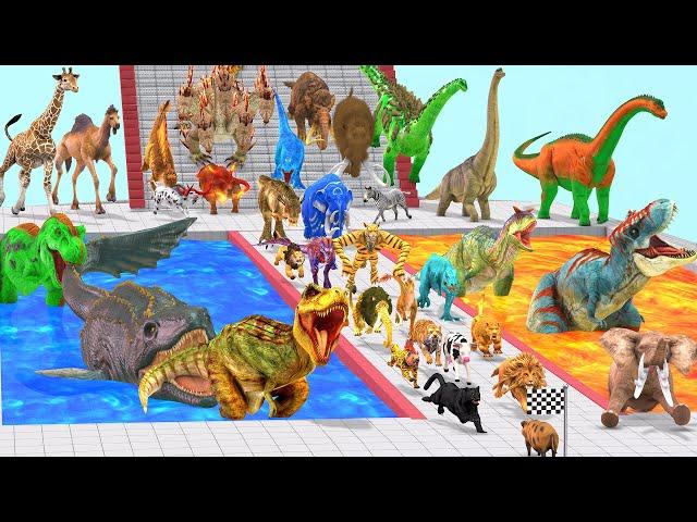 Which Animal Vs Dinosaurs Falling Down the Stairs into Lava Path - Animal Revolt Battle Simulator