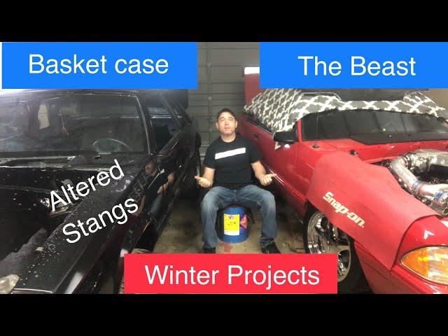 Altered Stangs Foxbody Winter Projects