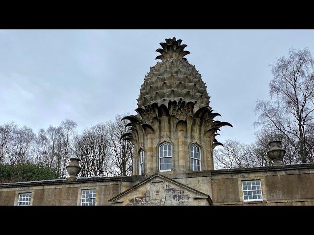 Joe Guides : The Dunmore Pineapple.