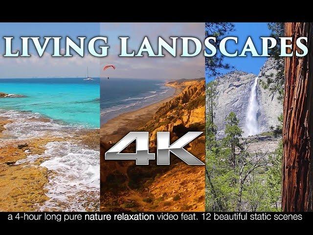 Living Landscapes in 4K | 4HRS of Pure Nature Relaxation™ Scenes UHD