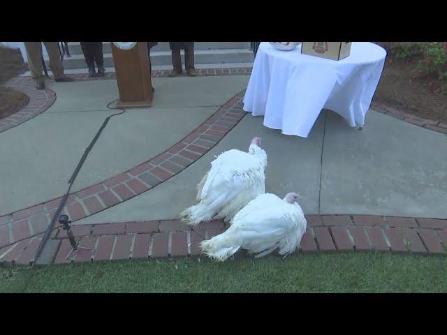 VIDEO: Gov. Kay Ivey pardons turkeys in 69th Annual Turkey Pardoning