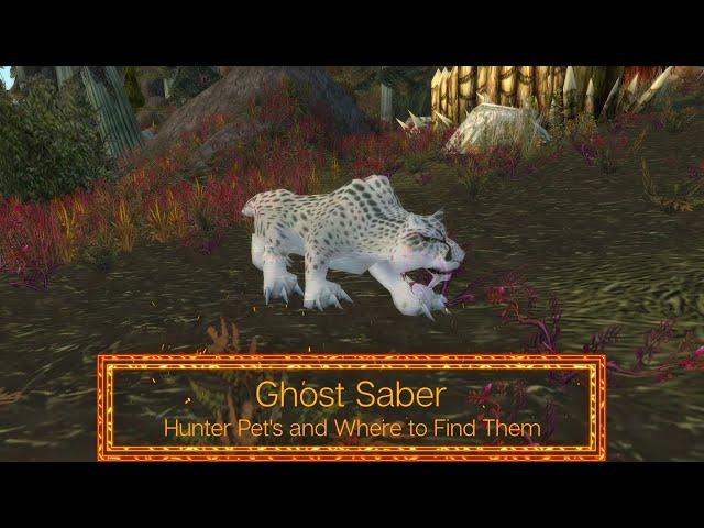 Ghost Saber - Hunter Pets - Where to find it in World of Warcraft - ep 31