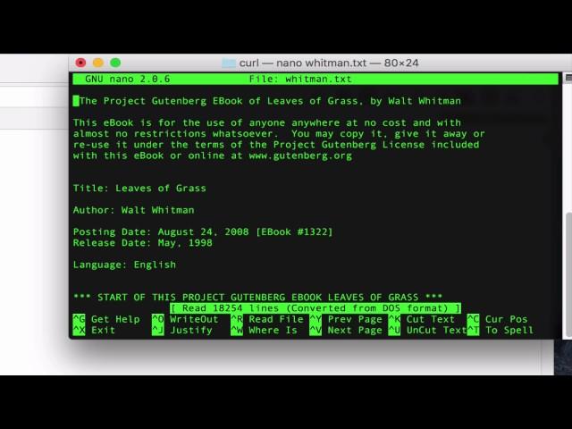 How to Download Files with cURL on Command Line