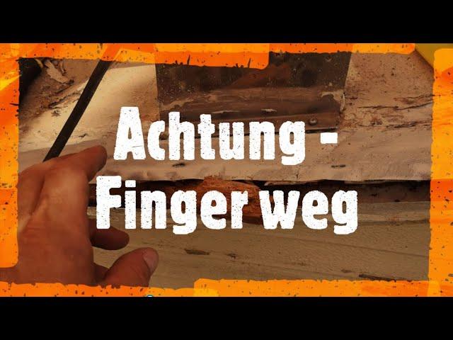 Wasserschaden beim Wohnmobil - Finger weg