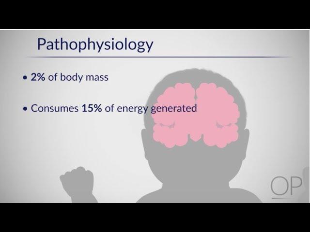 Therapeutic Hypothermia: Treatment of Hypoxic Ischemic Encephalopathy Part 1 by D. Casey