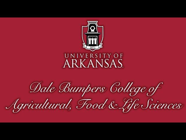 Spring 2023 Dale Bumpers College of Agricultural, Food and Life Sciences Commencement