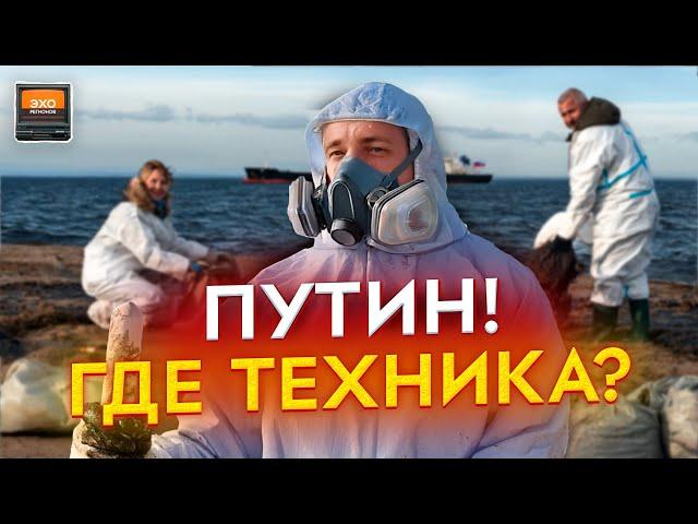 Черное море – живи! Кто виноват в экологической катастрофе  | Эхо регионов