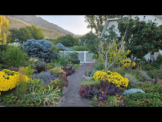 What's Blooming in My Zone 7 Water Wise Landscape in October