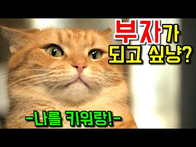 고양이의 간택을 받아 인생 역전한 노숙자의 이야기..! 그리고 그는 고양이 밥의 땅콩을 떼는데..!