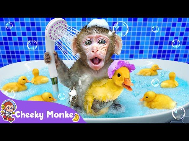 The Bath Song  Baby Monkey and Fun Bath Time Song | Cheeky Monkey - Nursery Rhymes & Kids Songs