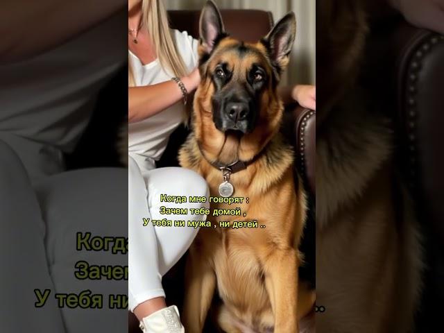 Да что вы 