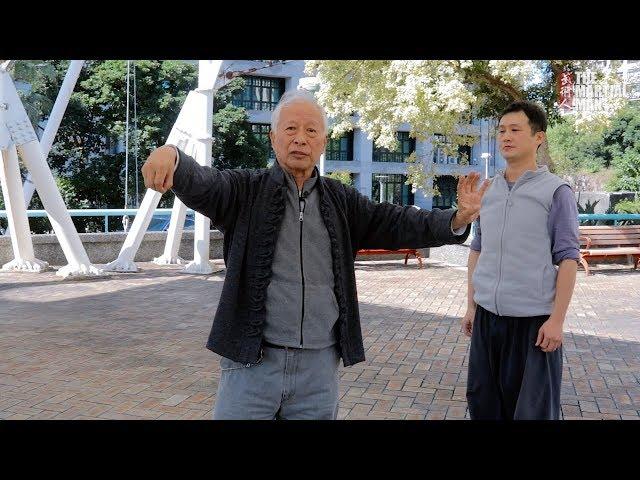 Chen Style Taiji Quan Applications | Master Adam Hsu