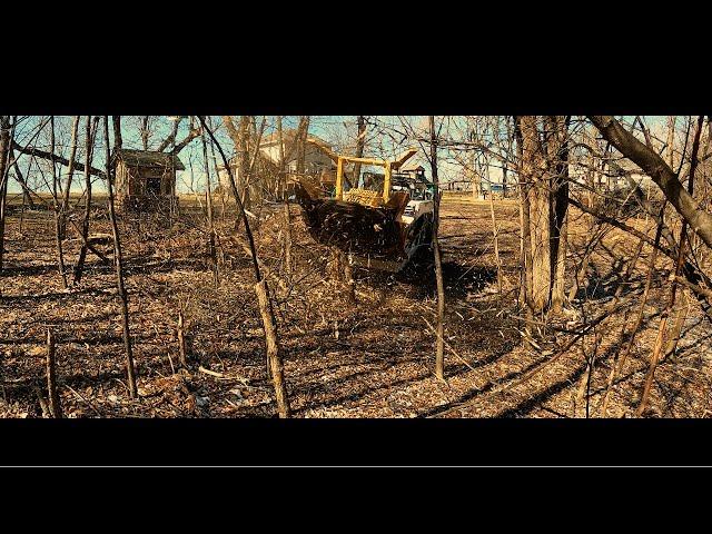 Diamond Forestry Mulcher Demo Day