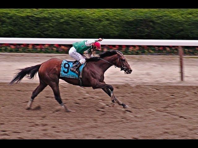 Afleet Alex