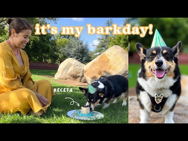  Birthday vlog: Celebrando a mi perro y haciendo su pastel de cumpleaños