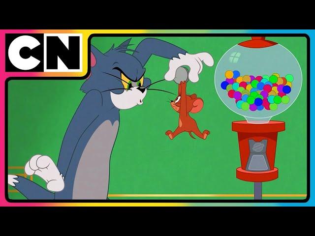 Tom and Jerry | Jerry the Troublemaker | Cartoon for Kids | Only on Cartoon Network India