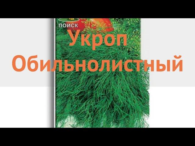 Укроп обыкновенный Обильнолистный (obilnolistnyy)  обзор: как сажать, семена укропа Обильнолистный