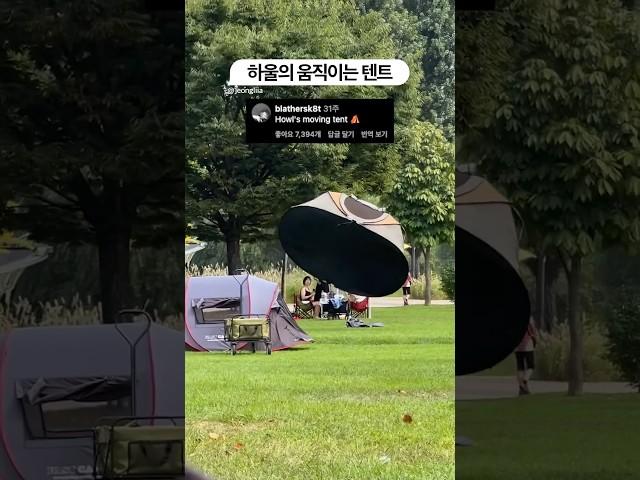 봤어도 또 보는 700만뷰 한강 레전드 텐트