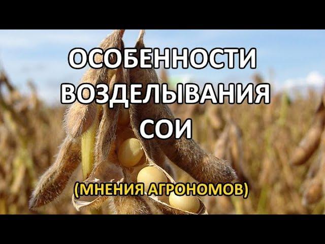 Особенности возделывания сои (Посев и норма высева, инокулянт, удобрение и уборка сои)