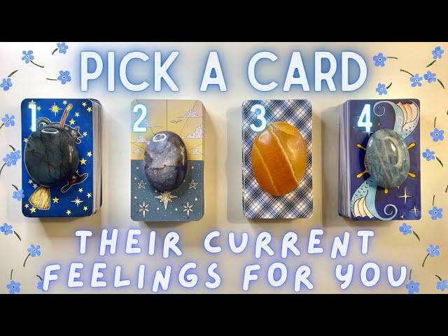 How They’re Currently Feeling About You| PICK A CARD In-Depth Love Tarot Reading