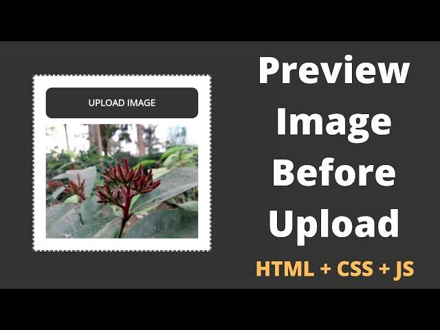 How to Preview an Image Before Upload using JavaScript