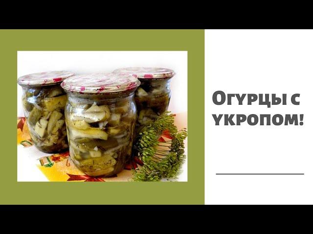 Огурцы с укропом