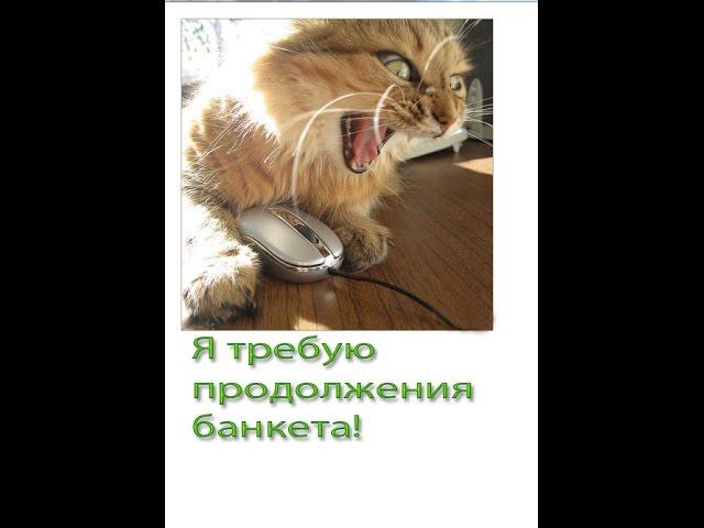 Смешно Приколы в картинках, прикольные картинки, класс  подборка,