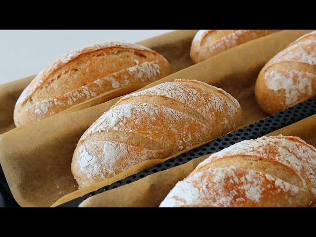 No-Knead / How To Make Perfect Whole Wheat French Rolls