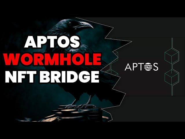 Aptos NFT Wormhole Bridge