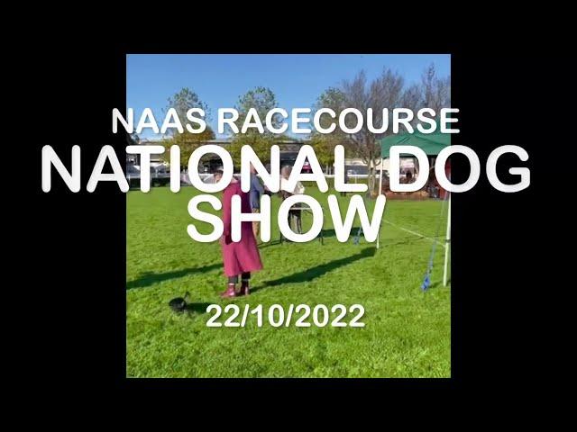 Dog Show in Naas,  Ireland 22/10/2022