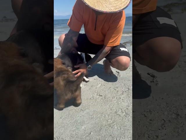 Part 2 Gabriola Sands Provincial Park #bisdak #everyone #followers #followforfollowback