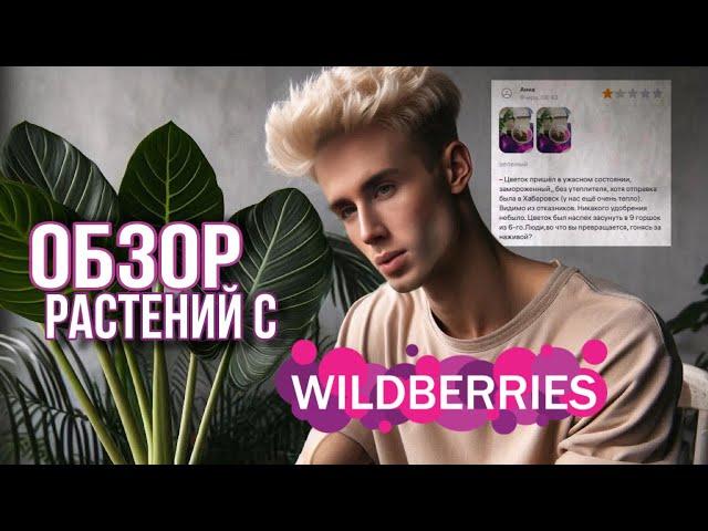 РЕДКИЕ РАСТЕНИЯ С WILDBERRIES /⭐️ РАСПАКОВКА НОВИНОК И РОЗЫГРЫШ МОЕЙ АЛЬБЫ !🪴