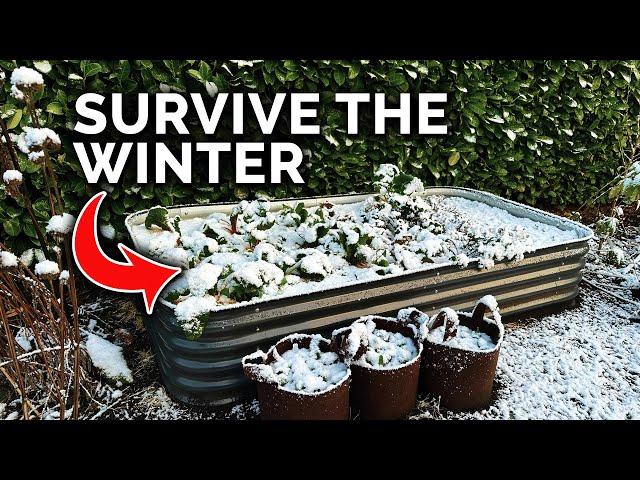 11 Winter Tasks To Guarantee an Abundant Garden Next Year