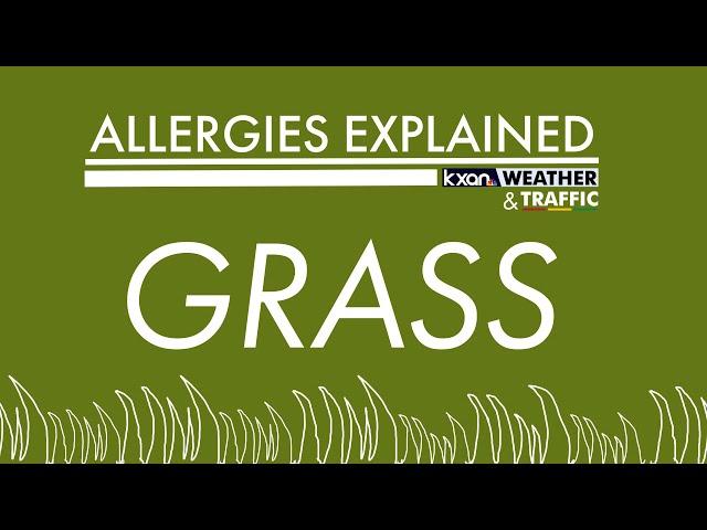 Allergies Explained - Grass