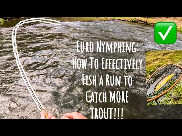 Euro Nymphing: How to Effectively Fish a Run and Catch MORE TROUT!