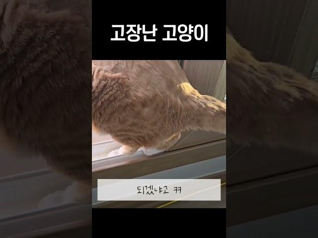 왜 이러는 걸까요