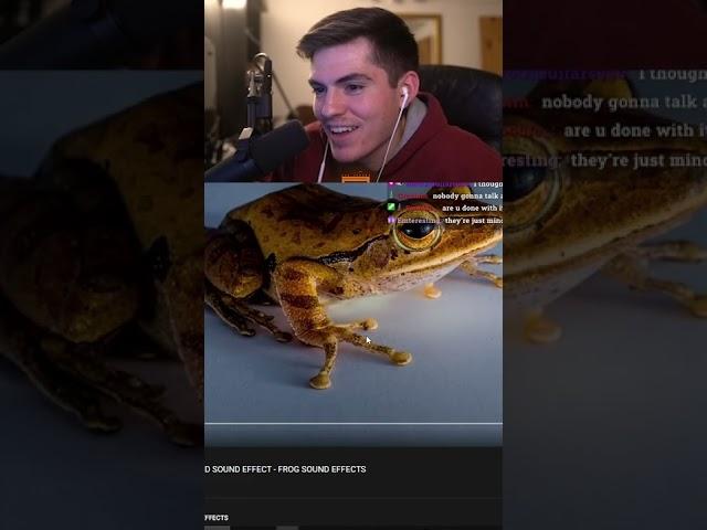 Did I Sound like a Real Frog? #shorts