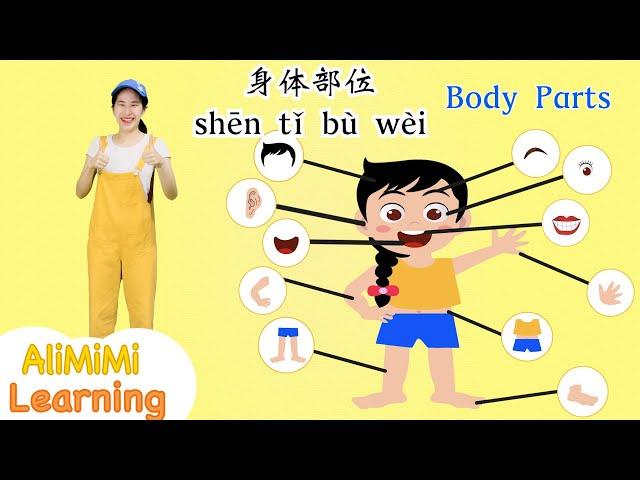 学中文 身体部位⎮Learn Part of the Body in Chinese⎮Body Parts Name in Chinese