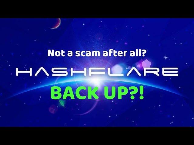 HashFlare BACK UP?! SHA-256 Contract UPDATE