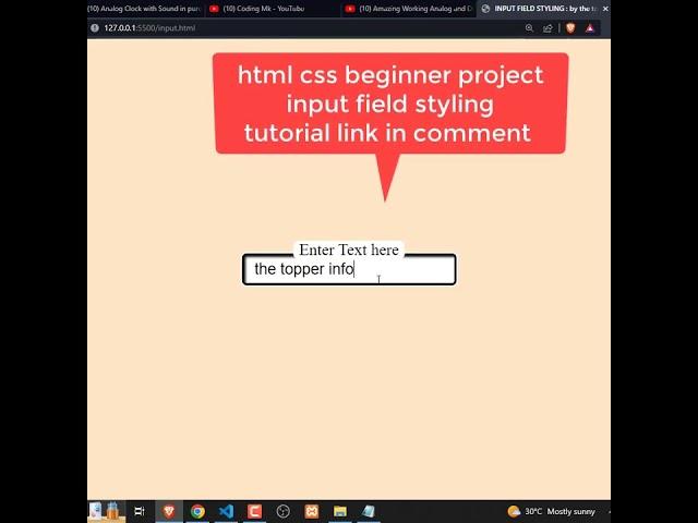 Input Text Field Styling | HTML CSS PROJECT | #html #css #programming #development #webdevelopment