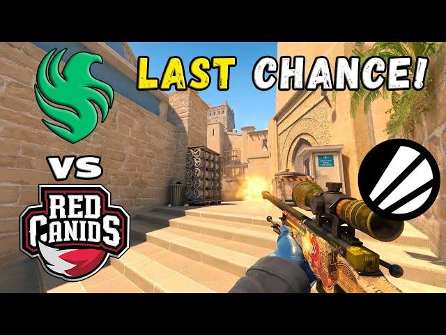 LOSER IS OUT! Falcons vs RED Canids - HIGHLIGHTS - ESL Pro League Season 20 | CS2