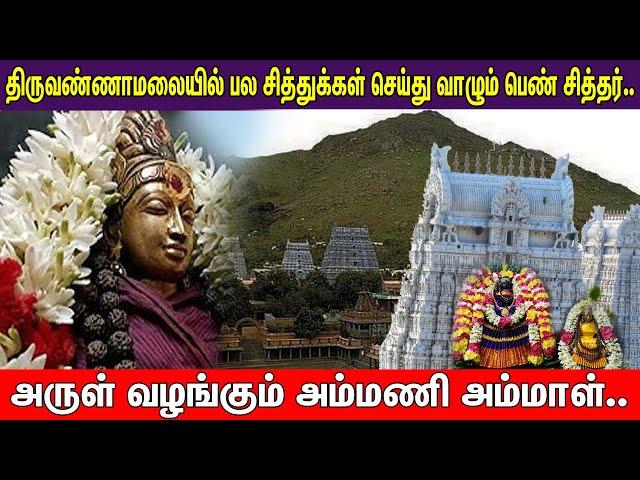 திருவண்ணாமலையில் பல சித்துக்கள் செய்து வாழும் பெண் சித்தர்.. | Pranavam TV