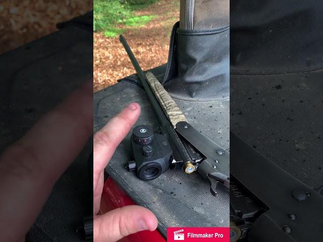 Stevens 301 .410 Kicks GT choke and TSS