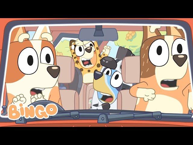 Bingo's Exciting Adventures   | Best of Family Playtime + Bluey Games | Bingo - Official Channel
