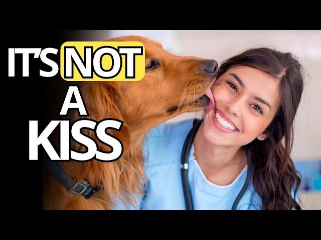 When your dog LICKS YOU, this is what it really means and it's NOT cute