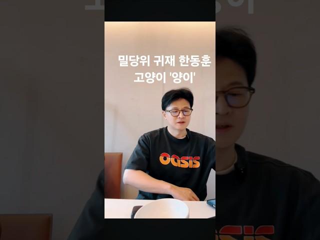 한동훈도 애타게 만드는 밀당의 귀재 후니 고양이 '양이' 여심 잡는것보다 어렵네ㅋㅋㅋ
